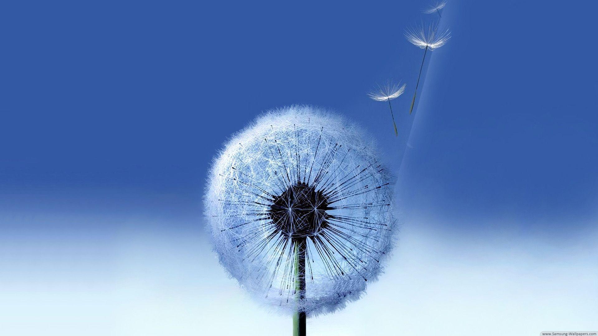 Samsung Wallpaper HD
