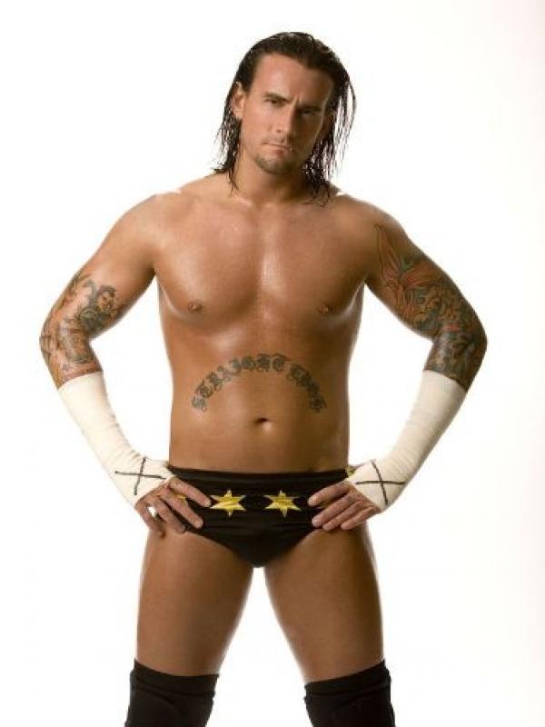 CM Punk vs. Brock Lesnar BEST VS. THE BEAST