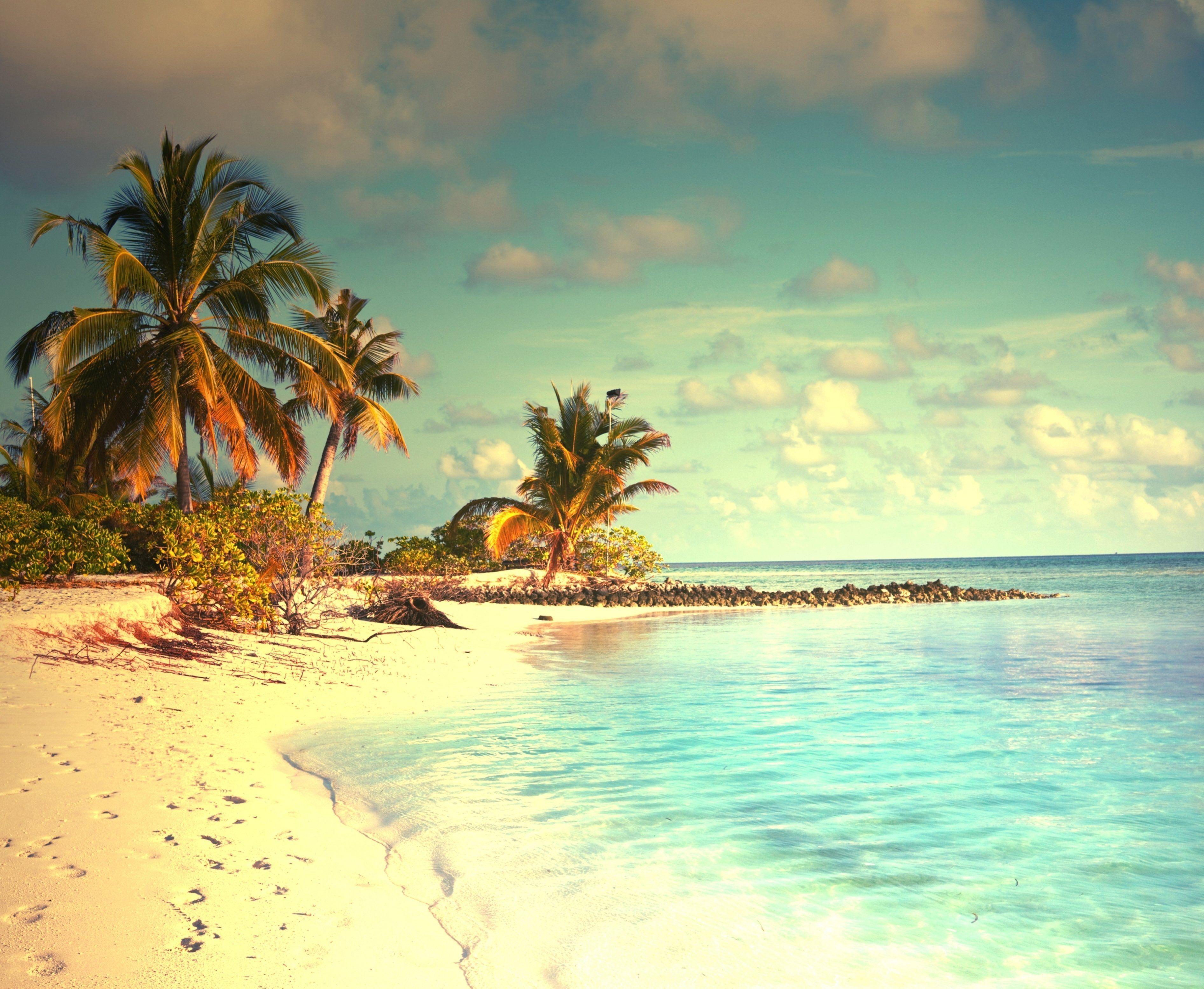 Tropical paradise beach palms sea ocean sunshine summer vacation
