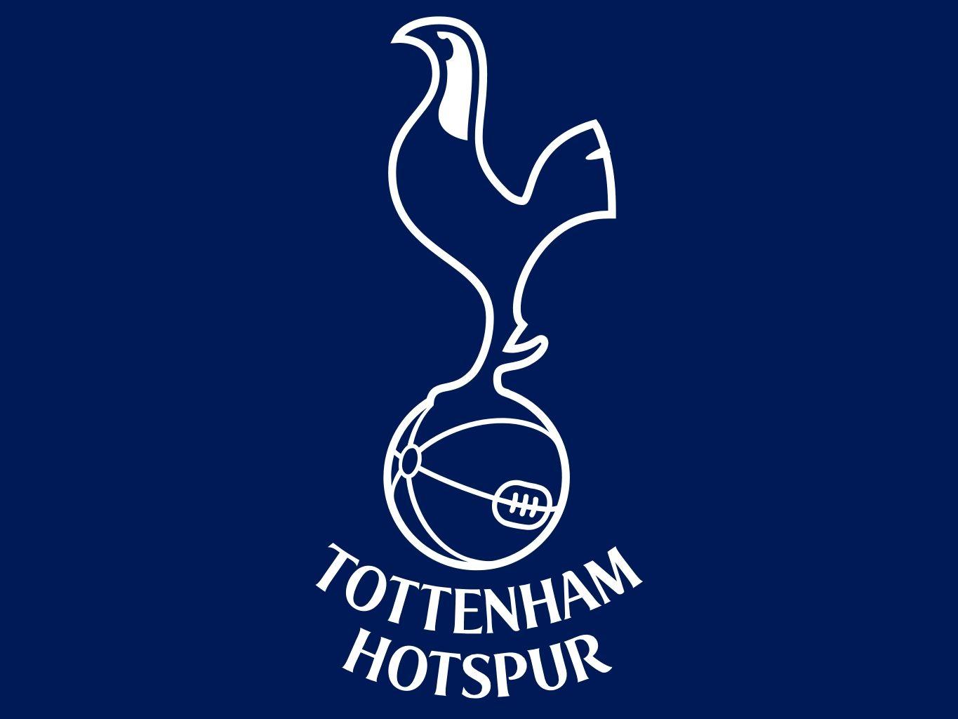 Tottenham Hotspurs 2017 Season Review