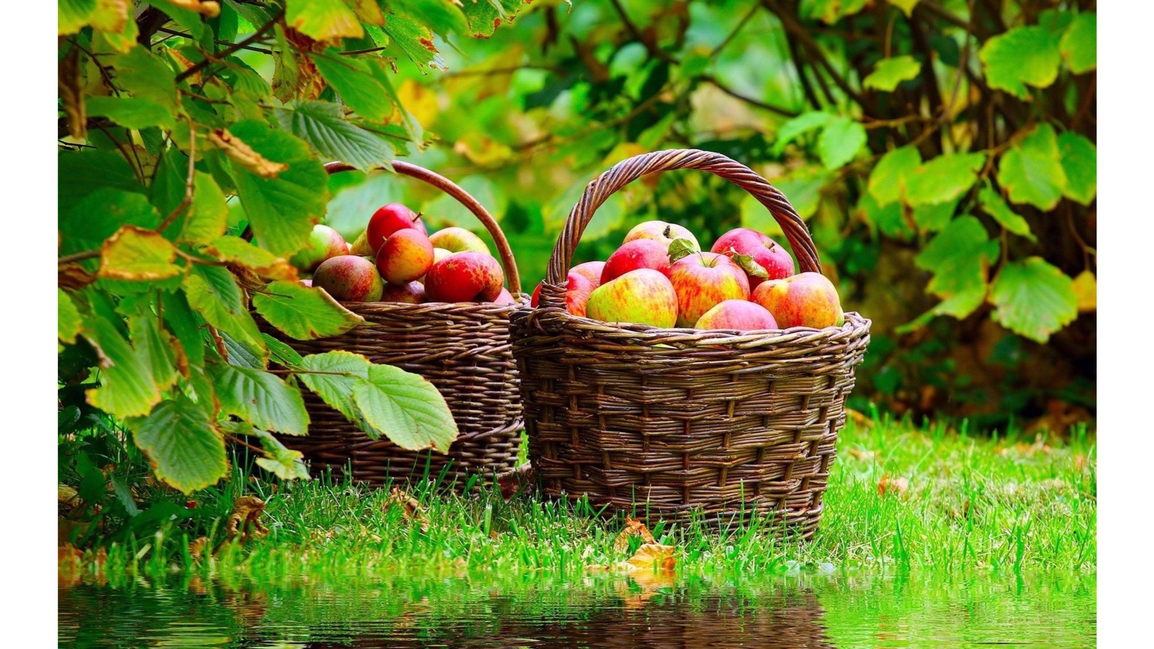 Nature 4K Wallpaper. Free 4K Wallpaper