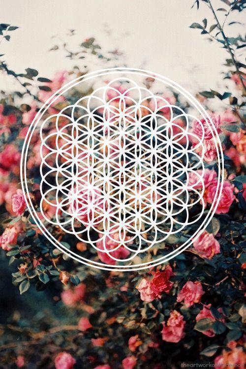 Flower of Life Apparel Edition. Flower Of Life, Of Life
