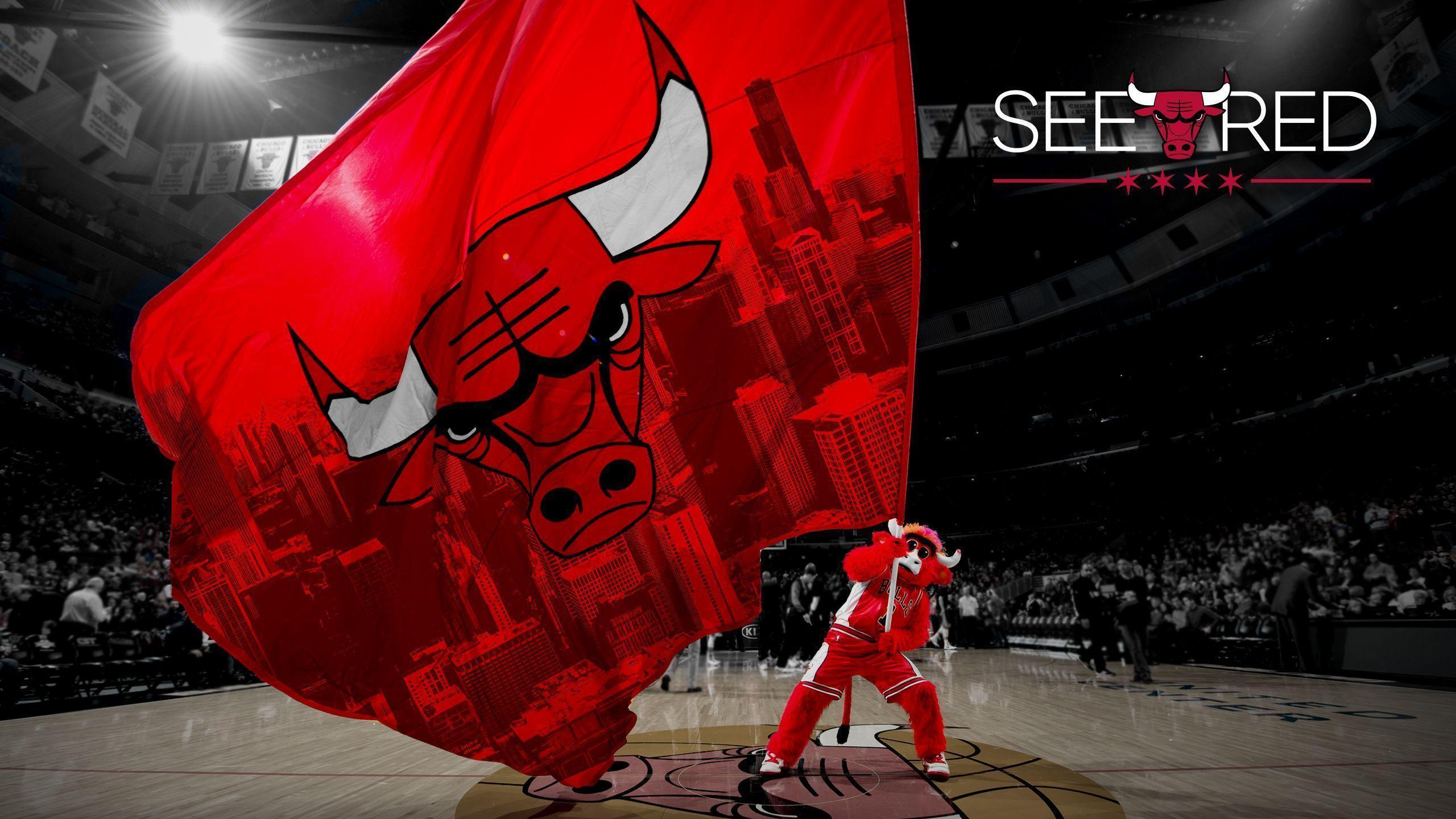 Chicago Bulls Live Wallpaper
