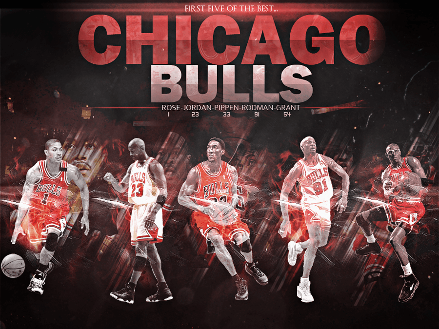 Chicago Bulls. Chicago Bulls. Bull Image, Chicago