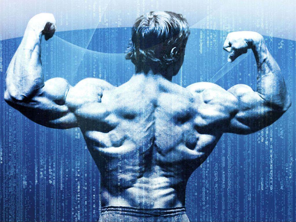 PICTURE: Arnold&;s amazing ULTRA BODY!!. ArnoldNation.com. Arnold