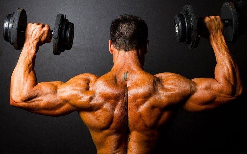 Bodybuilding Bodybuilder Curl Ronnie Coleman Weights Men Males
