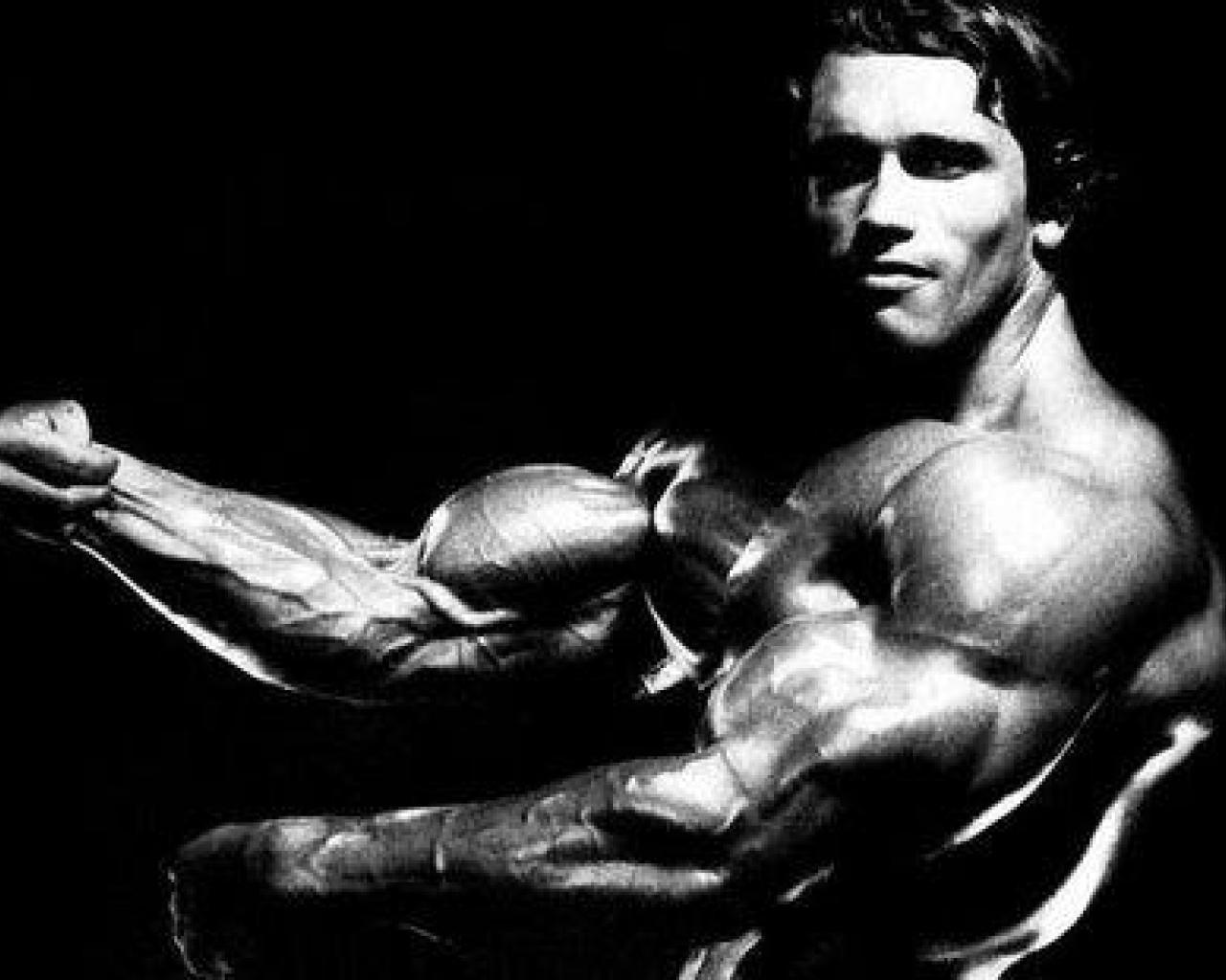 Arnold Schwarzenegger Bodybuilder