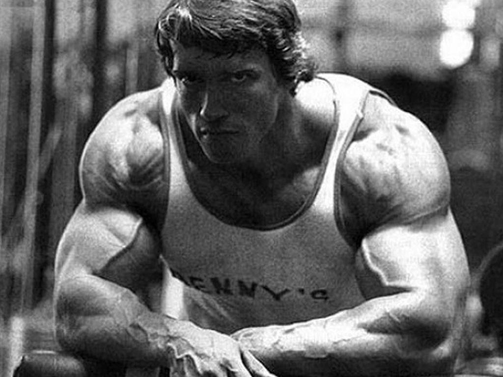 ArnoldSchwarzenegger&;s Muscle Pin Ups. Arnold