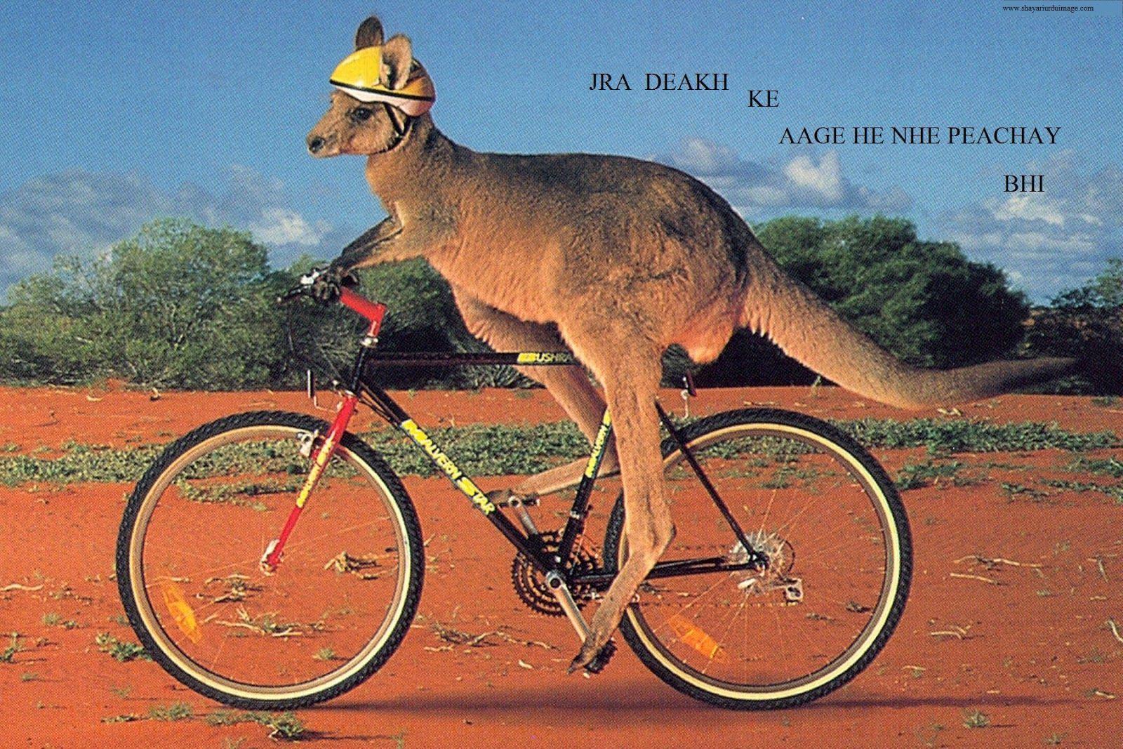 Shayari Urdu Image, urdu shayari with picture, urdu shayari