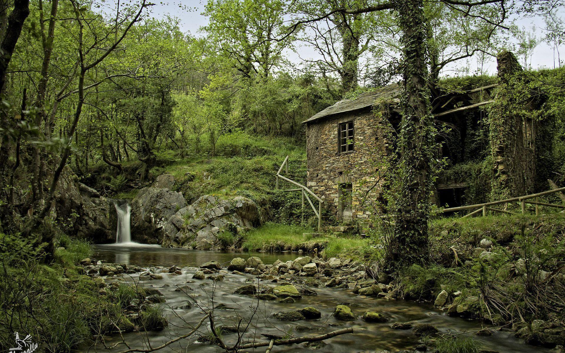 Trees, Spain, Waterfall, River, Arbon, Stones, Forest