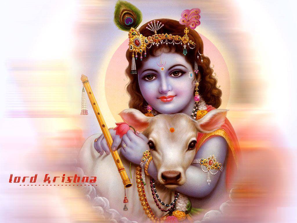 Lord Krishna. God Krishna HD Wallpaper