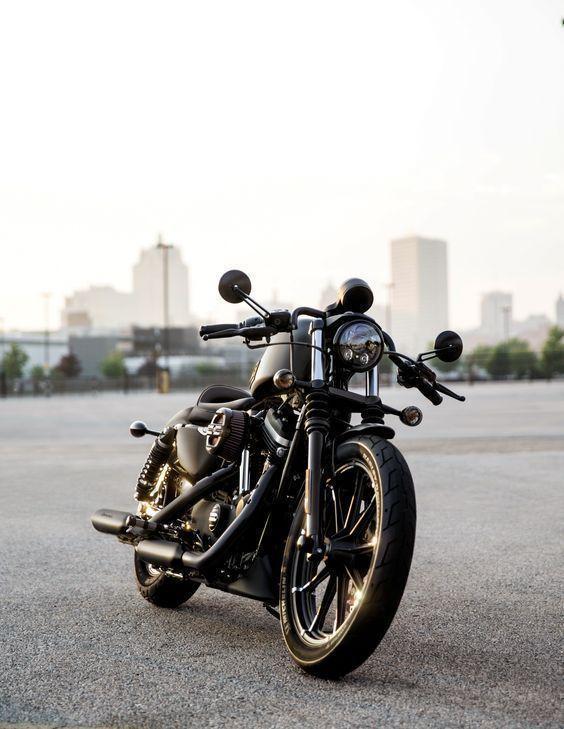 about Harley Davidson 883 Iron