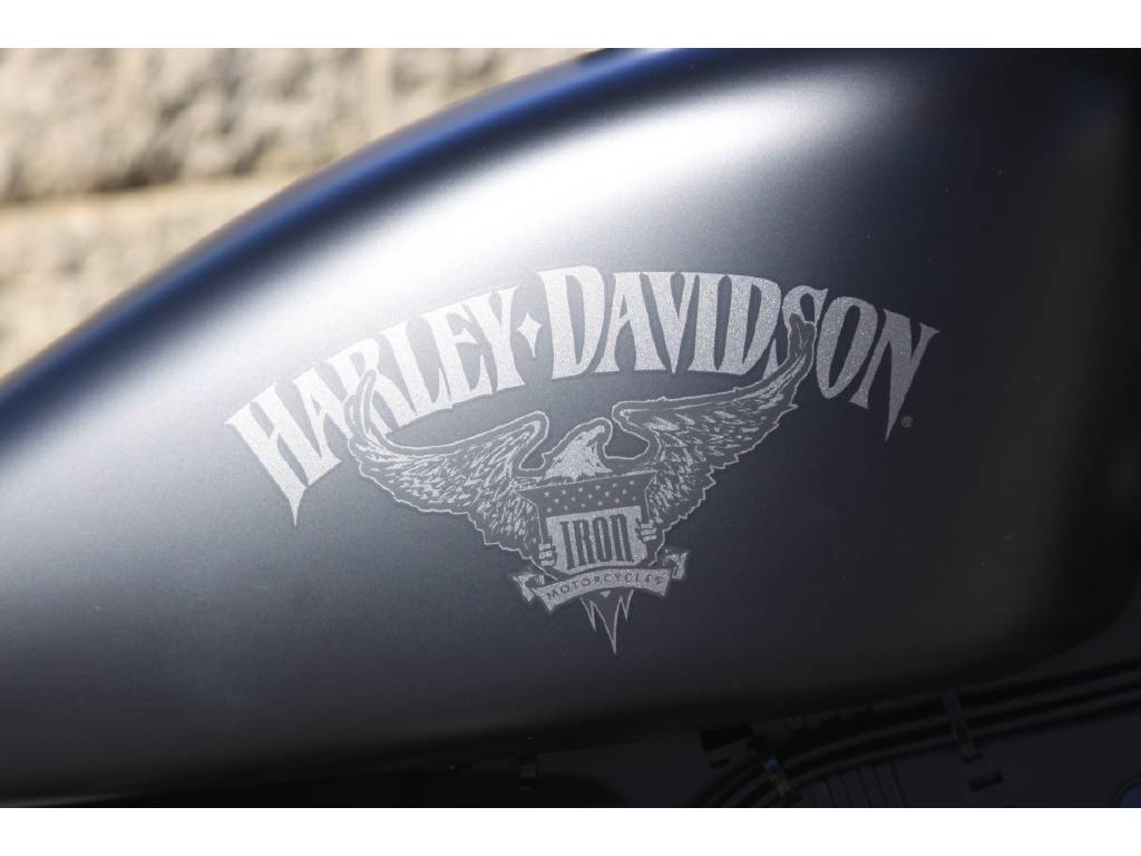 Harley Davidson Iron 883 XL883N XL883N, Franklin TN