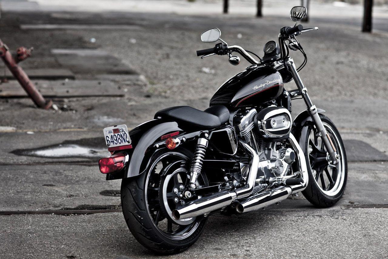 about Harley Davidson 883 Sportster