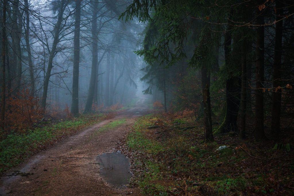 Download Latest Nature HD Wallpaper 2016