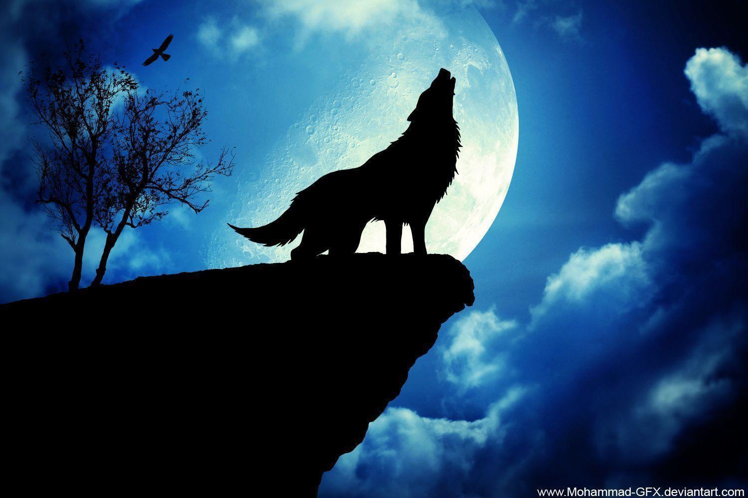 Wallpaper Of Wolfs