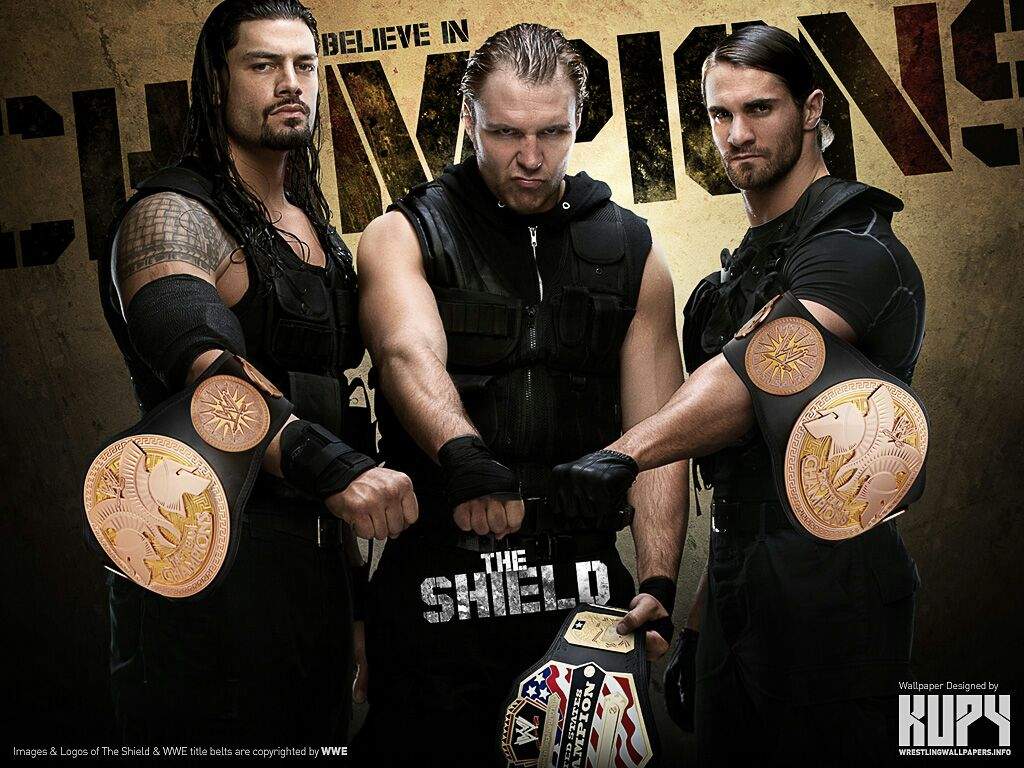 The Rise Fall Of The Shield!!!!