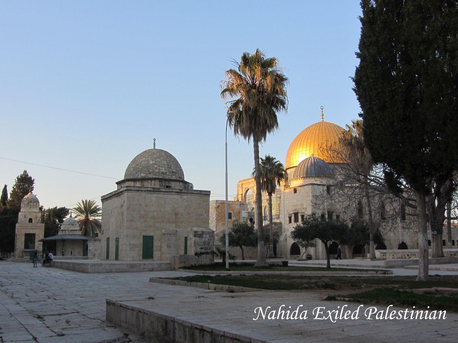 Uprooted Palestinian: Palestine.... A Moment of Reflection