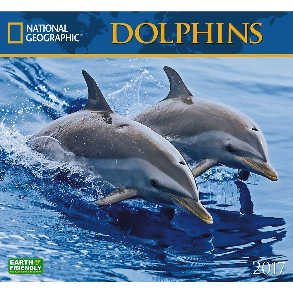 National Geographic Dolphins Wall Calendar: 9781772180237