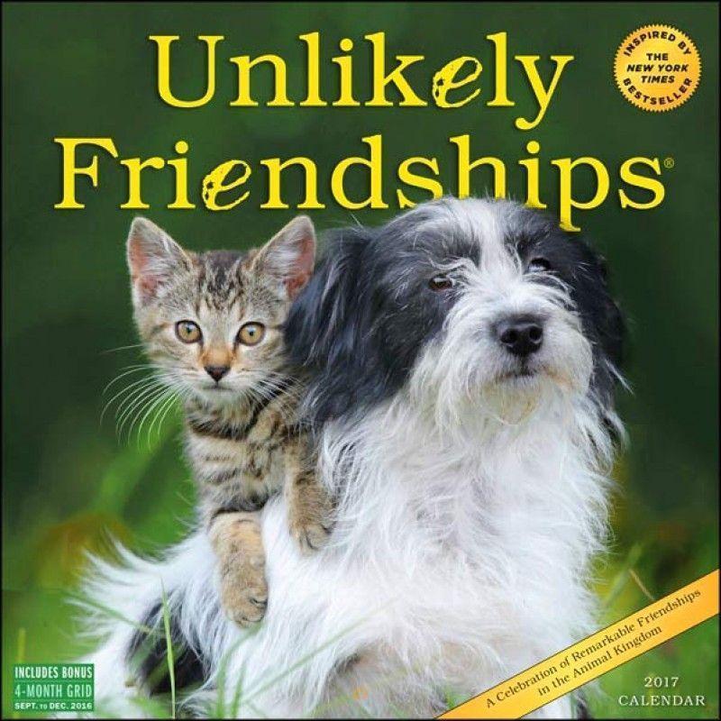 Unlikely Friendships Wall Calendar. Remarkable Friendships in