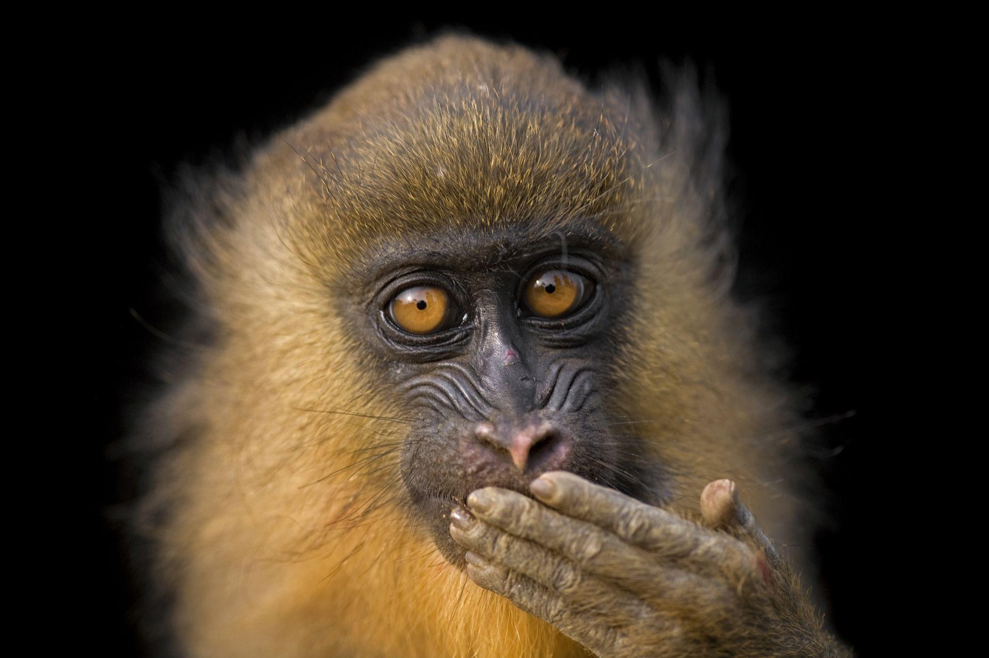 Annenberg Space for Photography Presents The Power of Photography