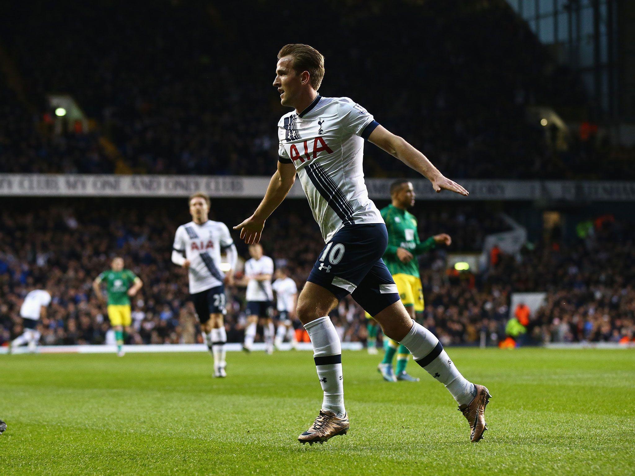 Harry Kane: Destiny will be calling Tottenham striker at Euro 2016