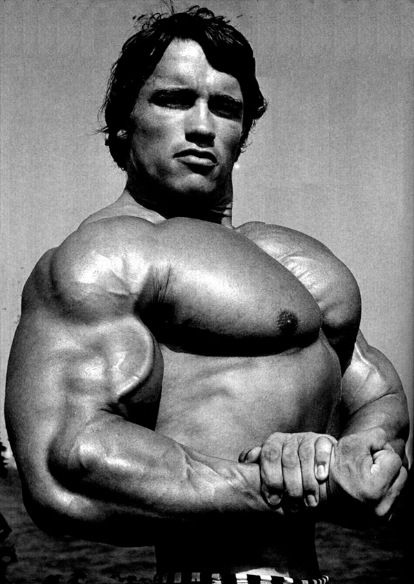 Insane Arnold Schwarzenegger Bodybuilding Picture