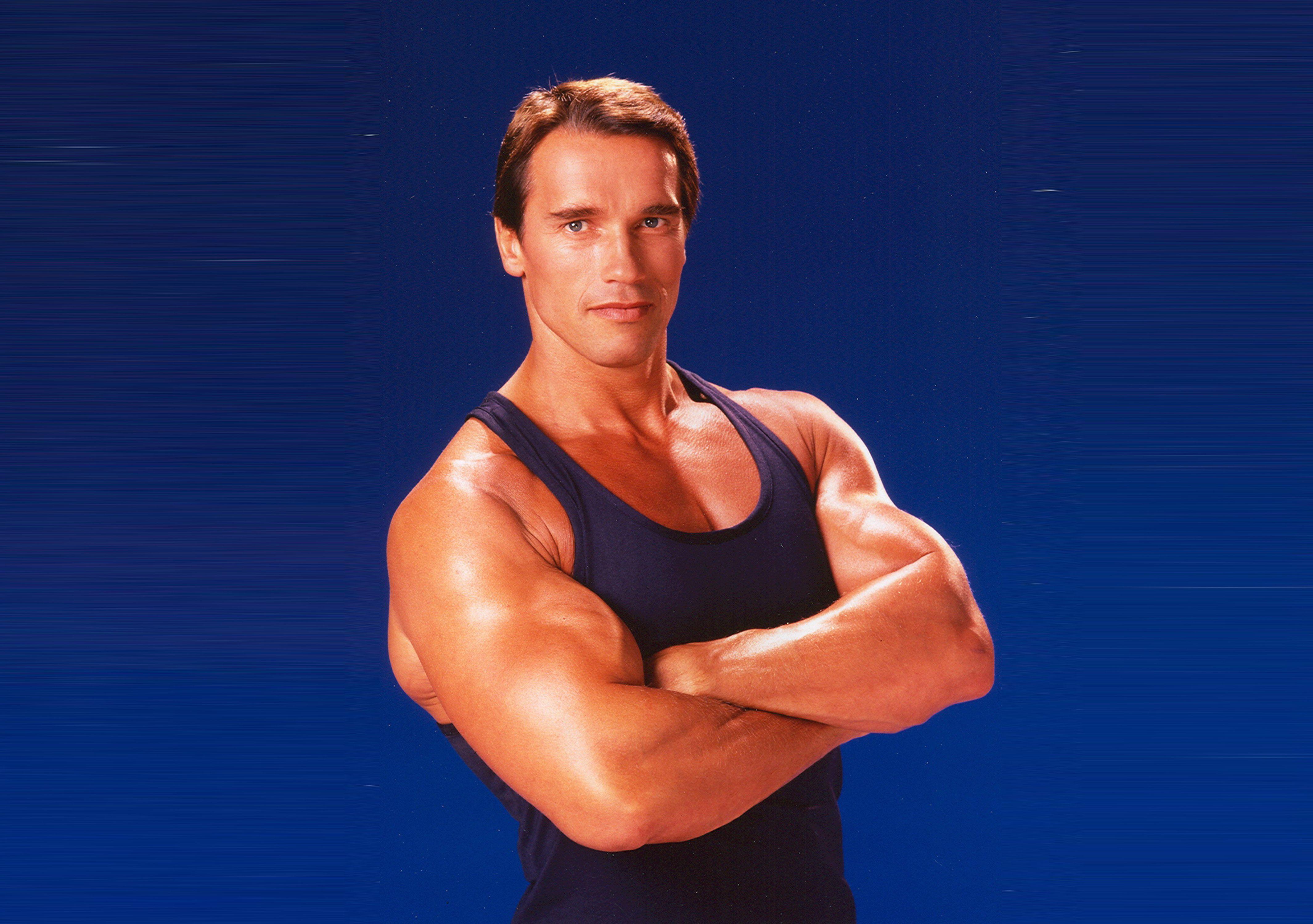 Wallpaper Arnold Schwarzenegger, Bodybuilder, HD, 4K, Celebrities