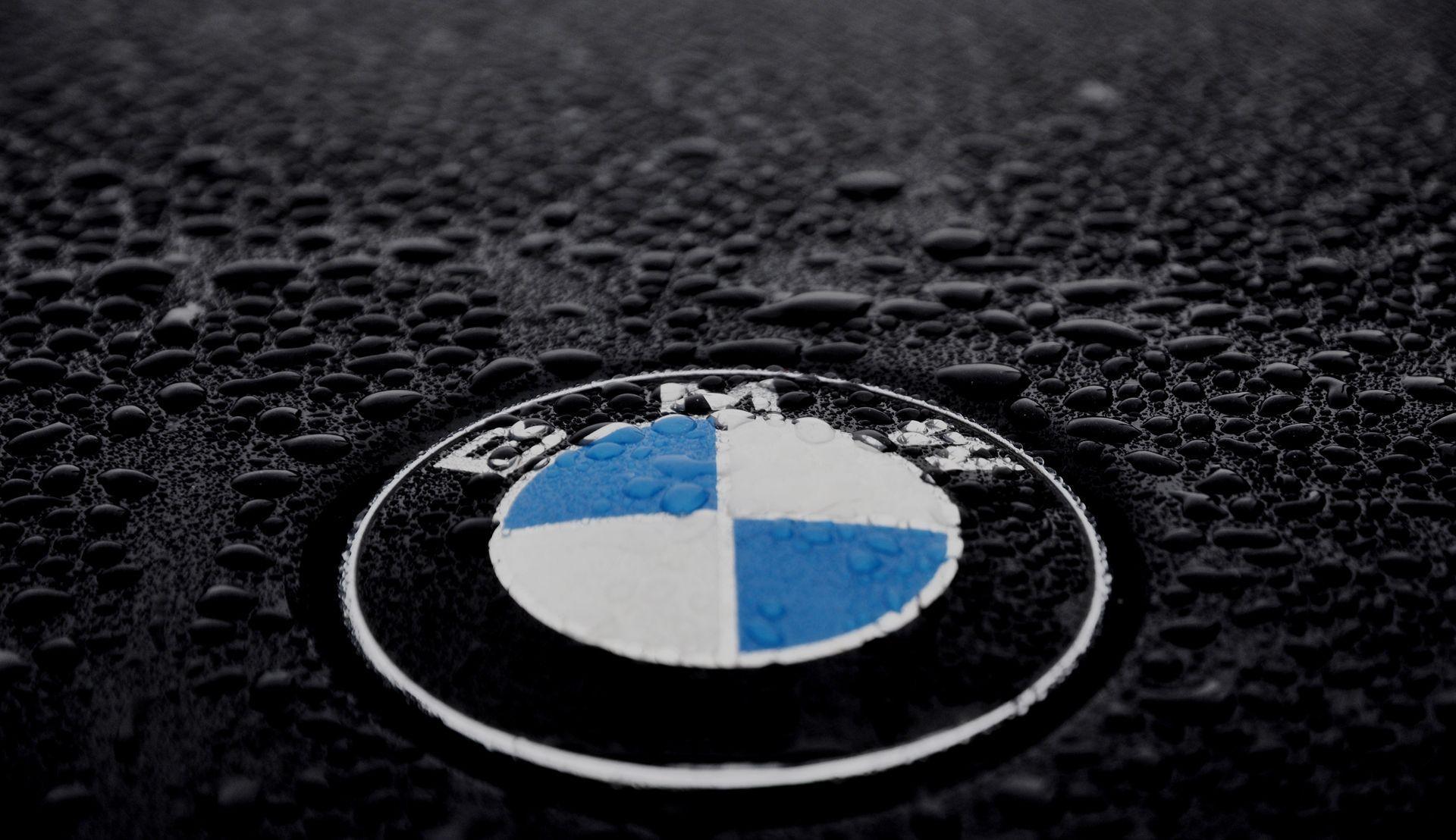 HD wallpaper: BMW emblem, 525d, symbols, blue, white, close-up, no people,  mode of transportation | Wallpaper Flare
