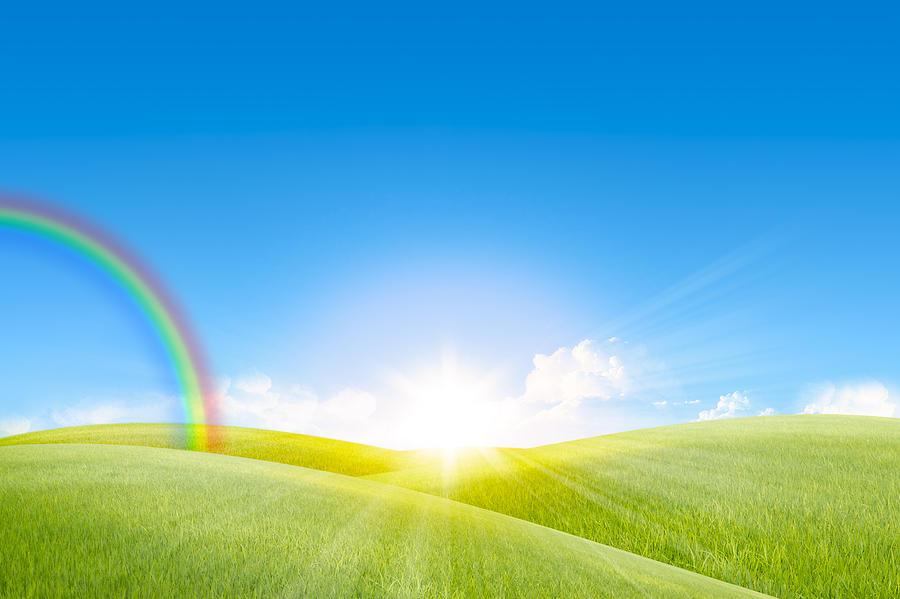 Agriculture Photograph In The Sunny Day With Rainbow by Setsiri Silapasuwanchai In The Sunny Day With Rainbow Photograph by Setsiri. Day Background