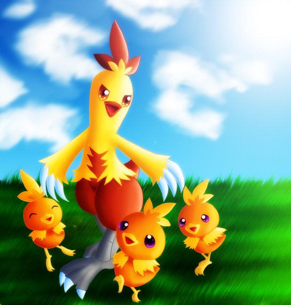 combusken and torchic by GNTS. and torchic HD Wallpaper