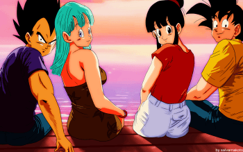 HD Wallpaper. Background Image Chi Chi (Dragon Ball) HD Wallpaper And Background Image. Chi Wallpaper