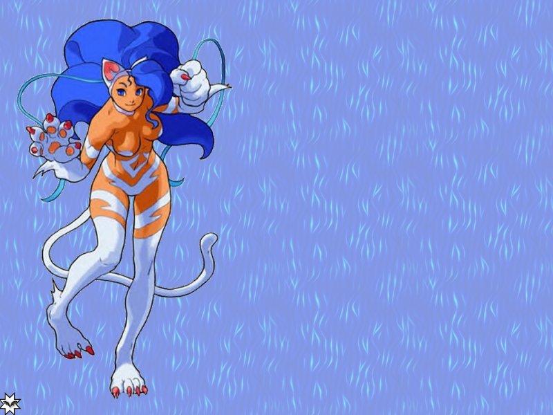 Darkstalkers Felicia Wallpaper Darkstalkers Felicia Wallpaper 800x600 Darkstalkers Wallpaper