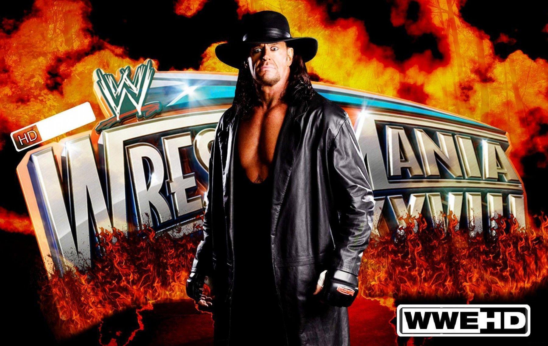 The Undertaker Wallpaper. WWE Survivor Series, WWE Superstars