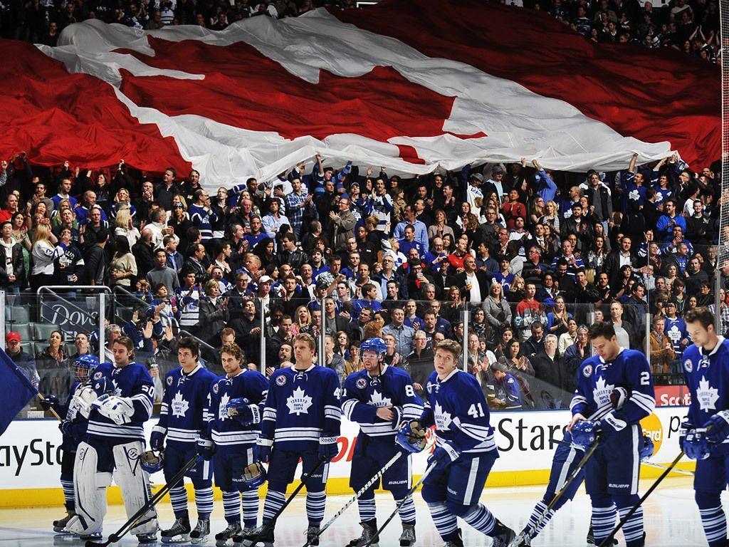 Maple Leafs Game Night Entertainment: Wallpaper Maple Leafs