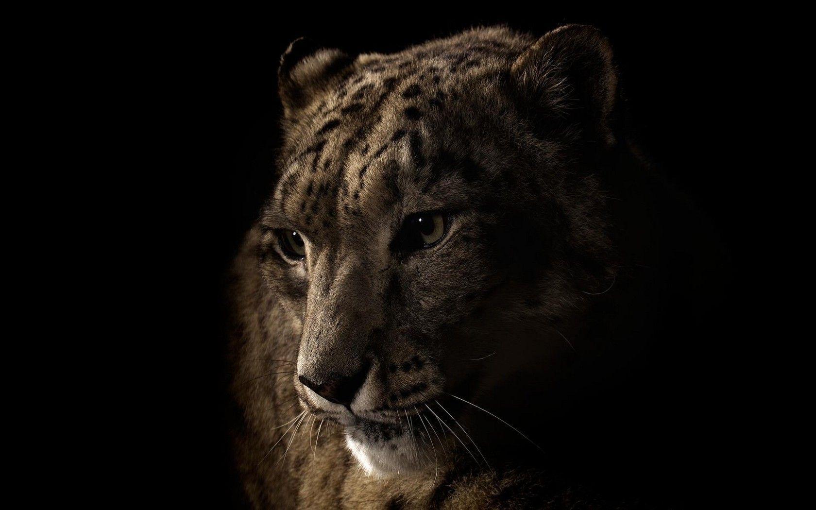 Premium AI Image | Black jaguar on a dark background