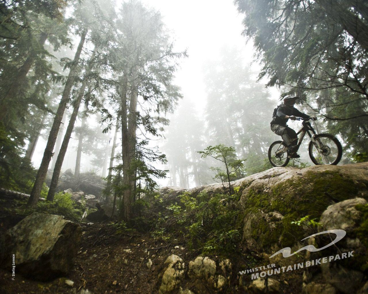 Wallpapers For > Mountain Bike Wallpapers Whistler
