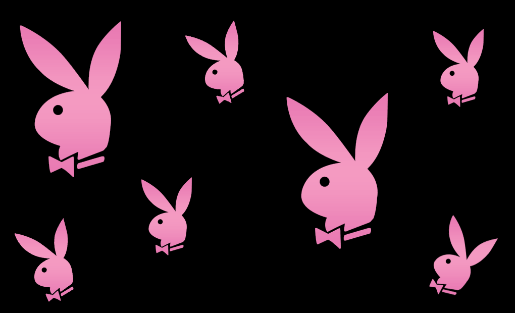 Play Boy Bunny Rabbit Wallpaper and Picture Items