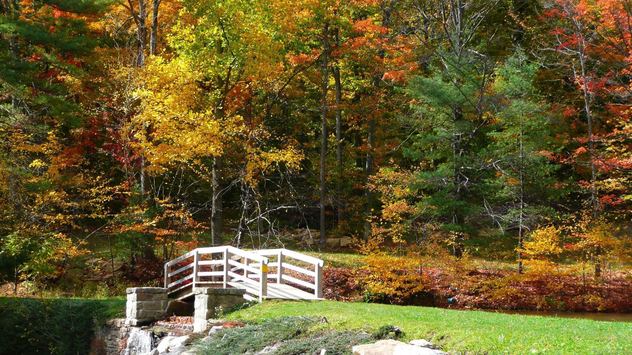 Pretty Fall Backgrounds - Wallpaper Cave