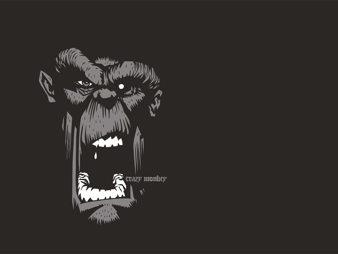 The Crazy Monkey Movie