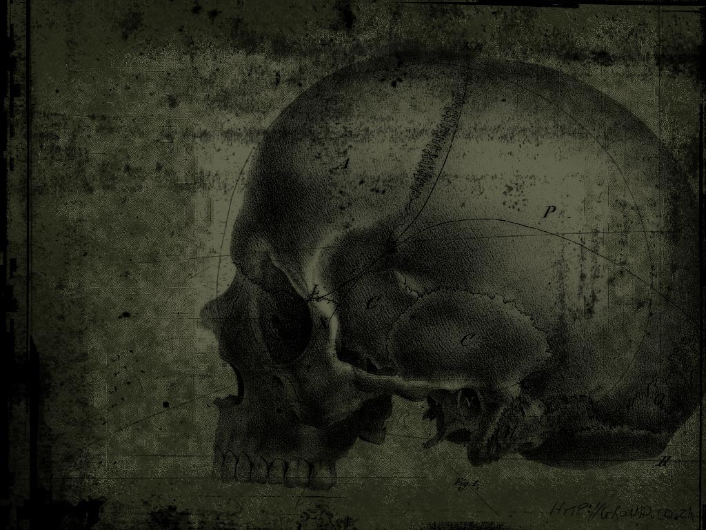 Free download Download Scary Skulls wallpaper dark side skull wallpaper [1024x768] for your Desktop, Mobile & Tablet. Explore Dark Evil Wallpaper. Evil Skull Wallpaper, Evil Scary Wallpaper for Desktop