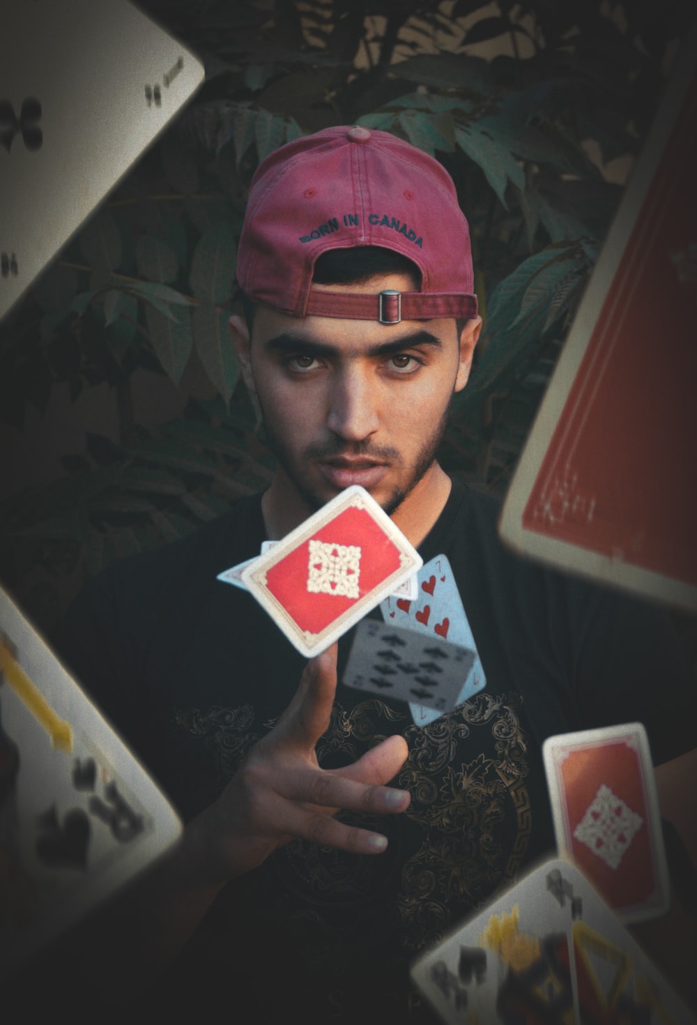 man throwing playing cards photo