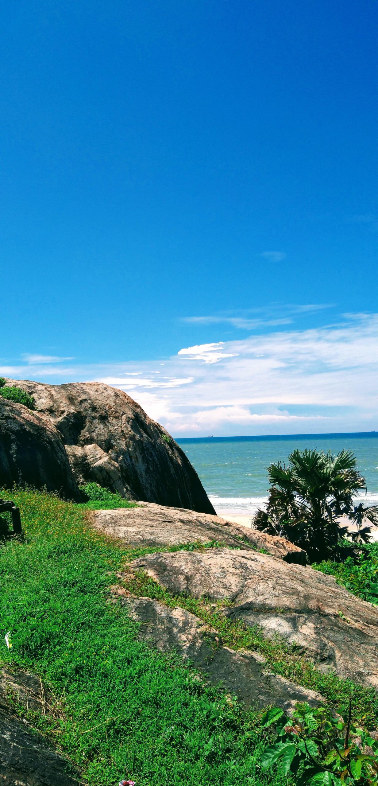 A pic I took, Mangalore, India