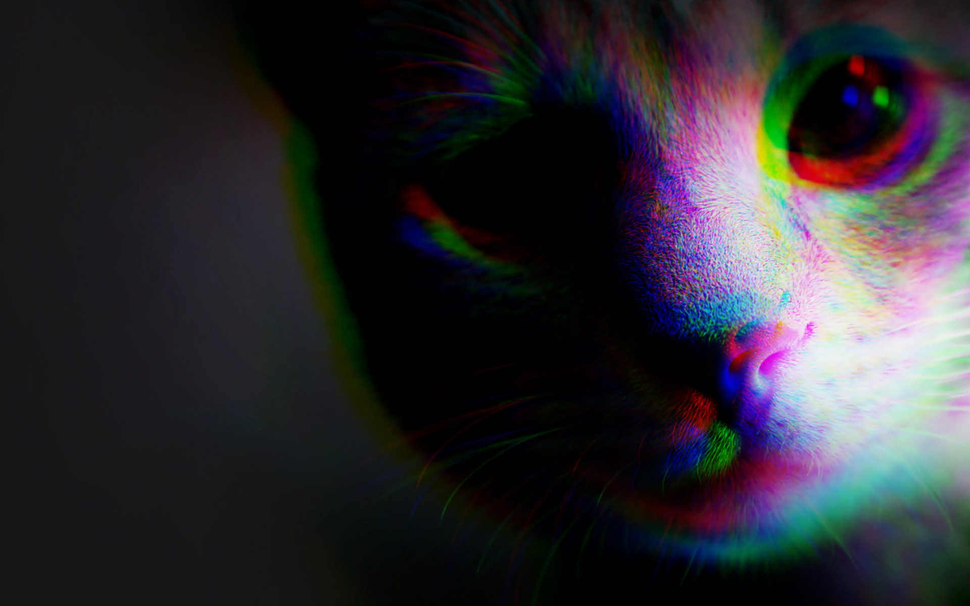 Trippy Cat Wallpaper HD