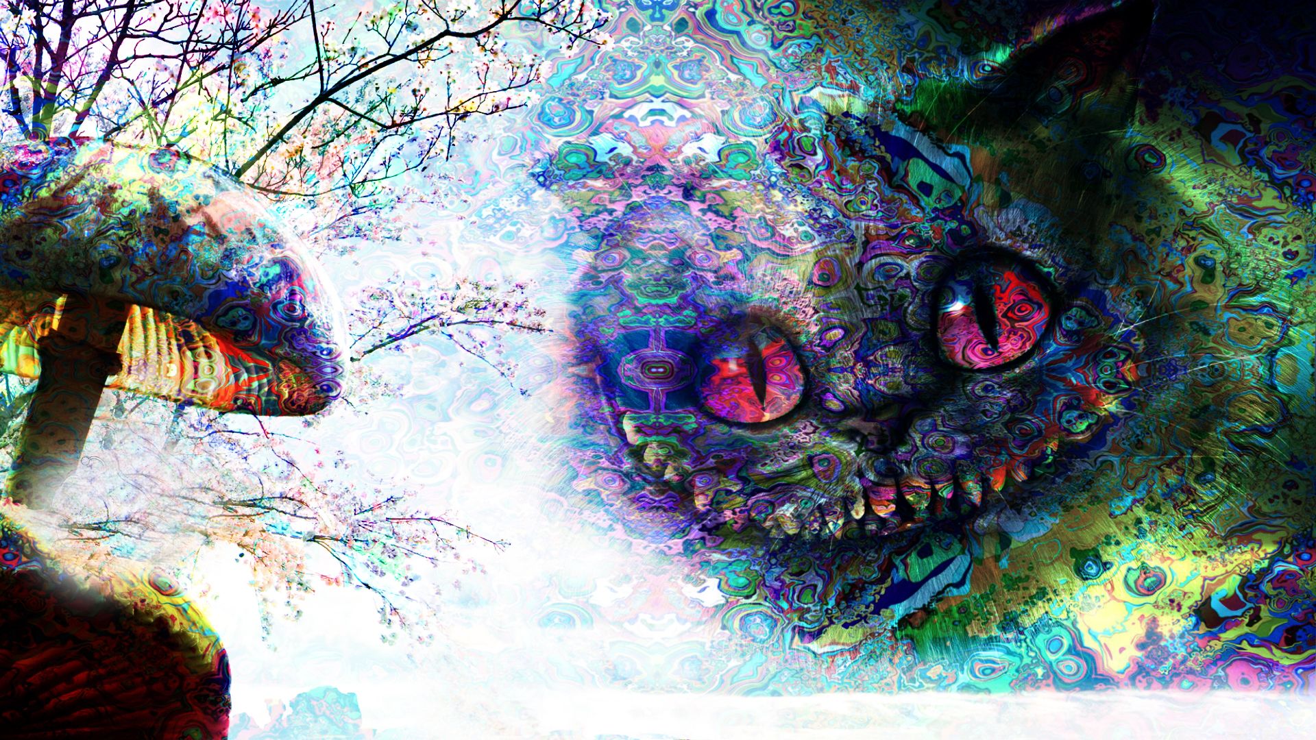 General 1920x1080 psychedelic trippy Alice in Wonderland Cheshire Cat mushroom. Cheshire cat wallpaper, Trippy cat, Cat background
