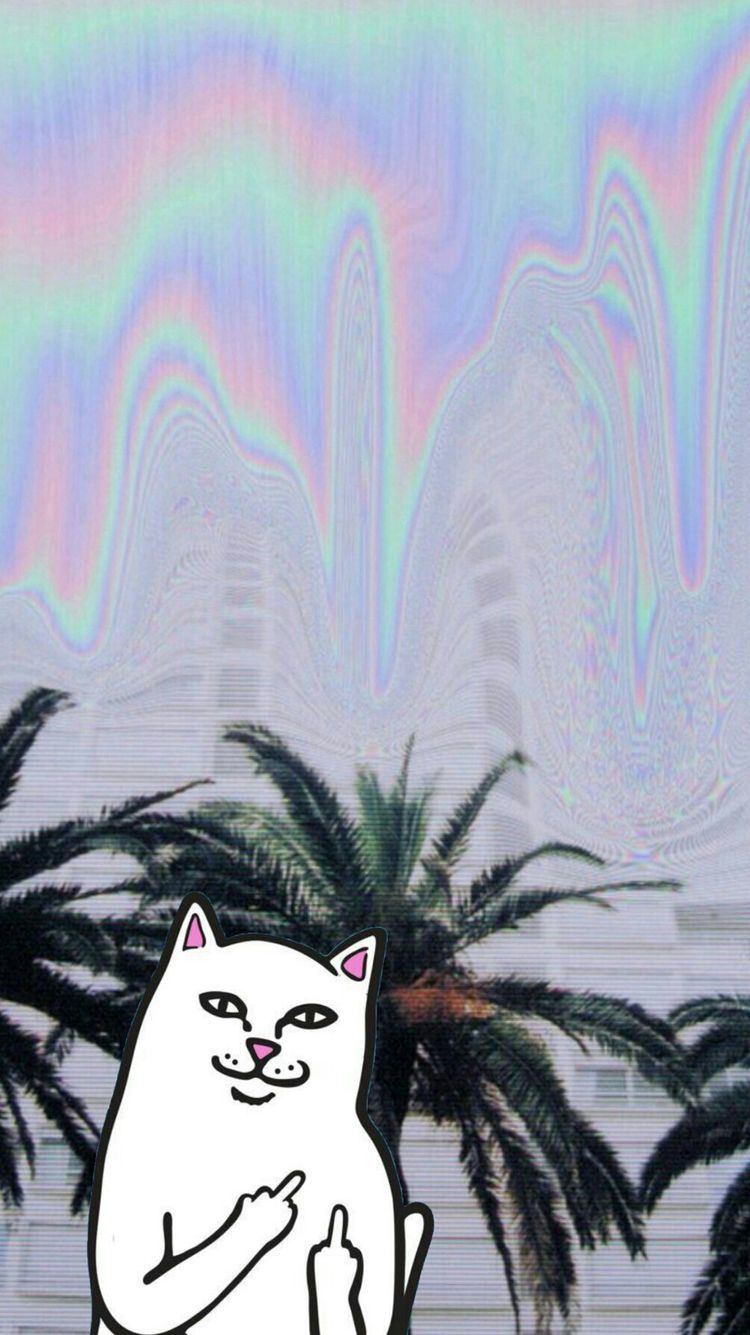 Trippy Cat Wallpaper N Dip Wallpaper iPhone
