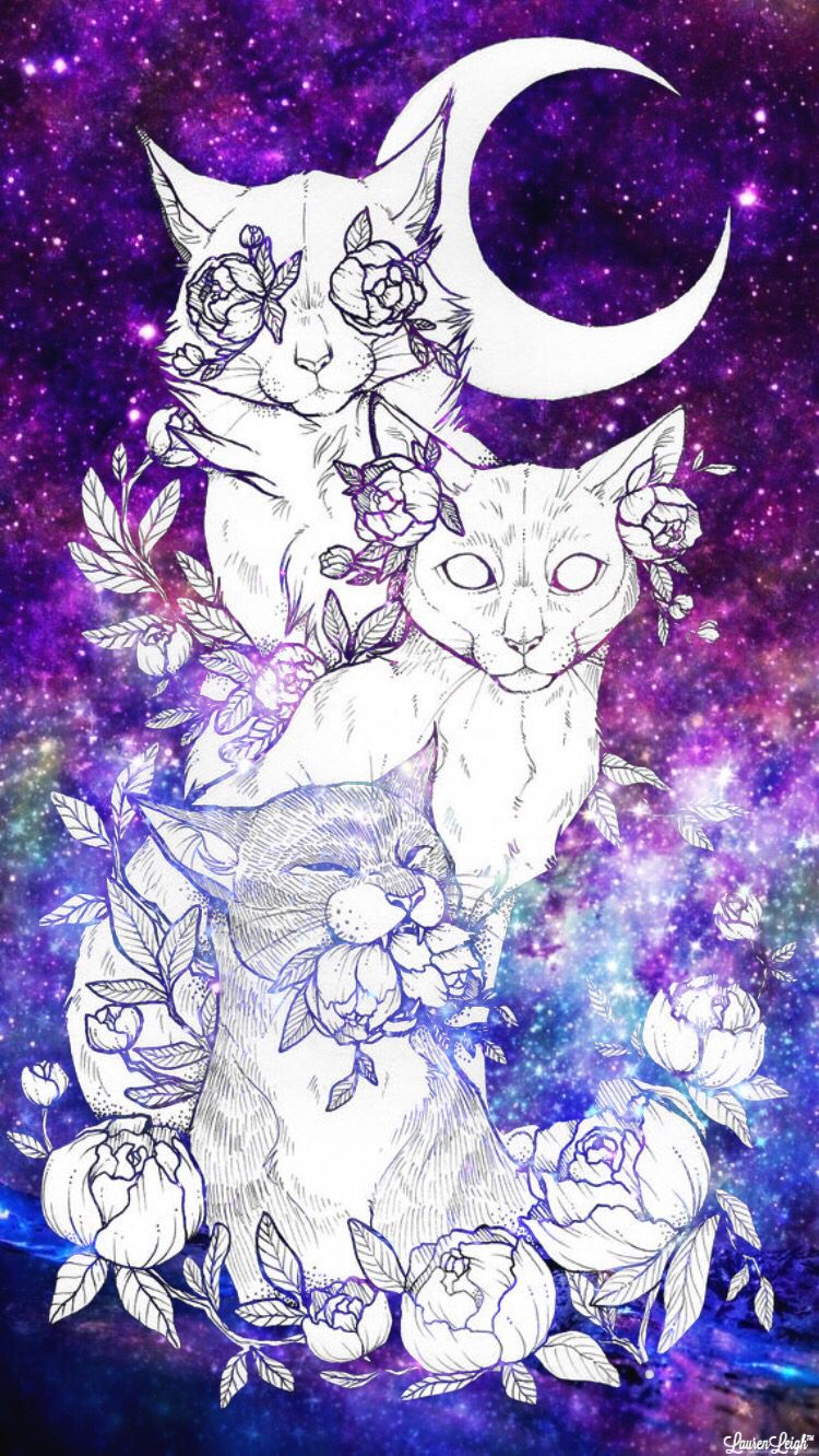 Galaxy Cats. Galaxy cat, Cat art, Trippy cat