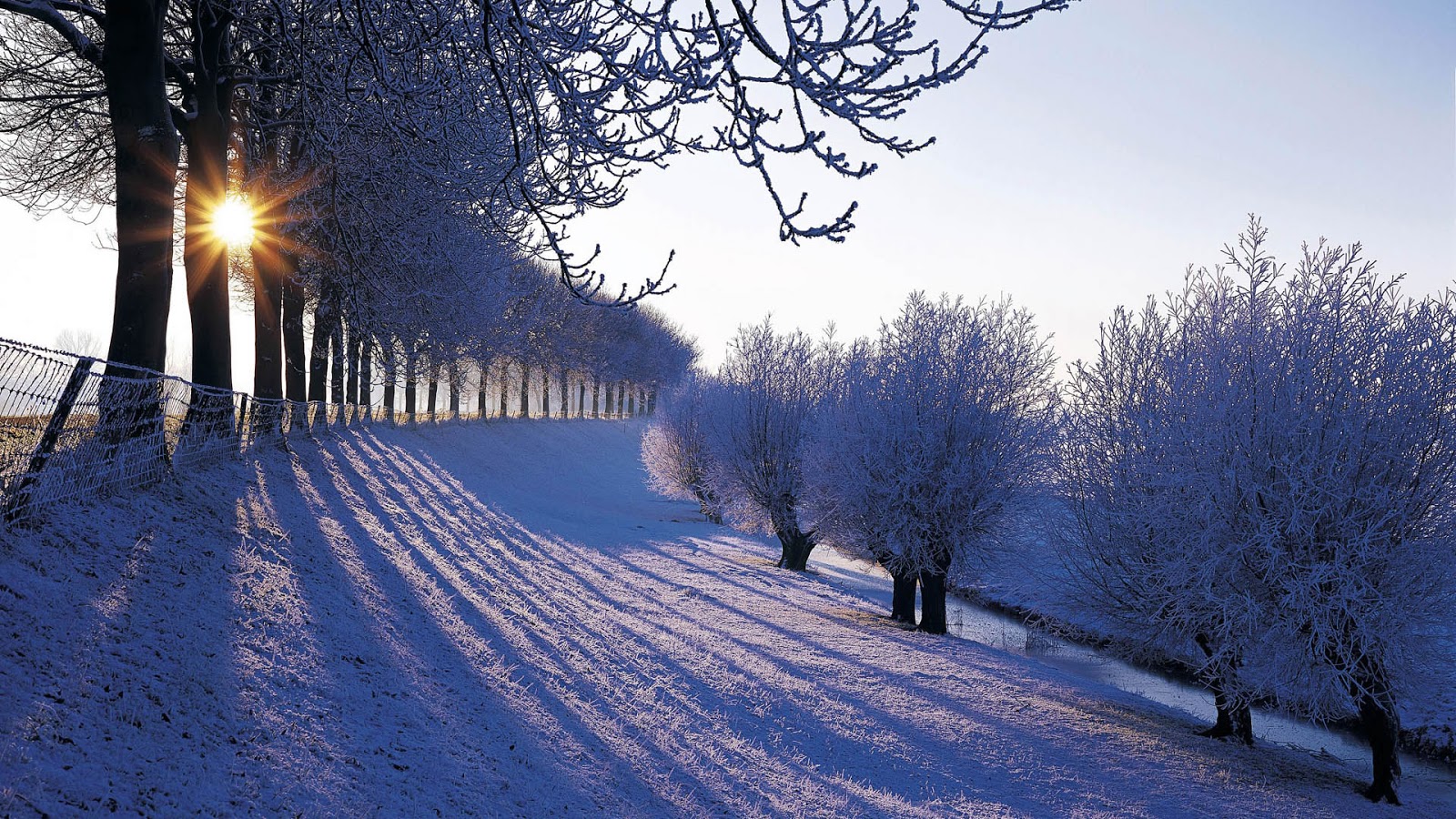 Free download Beautiful Winter Wallpaper Beauty of Winter season Nature [1600x900] for your Desktop, Mobile & Tablet. Explore Beautiful Winter Wallpaper. Free Winter Snow Scenes Wallpaper, Free Winter Snow Desktop Wallpaper