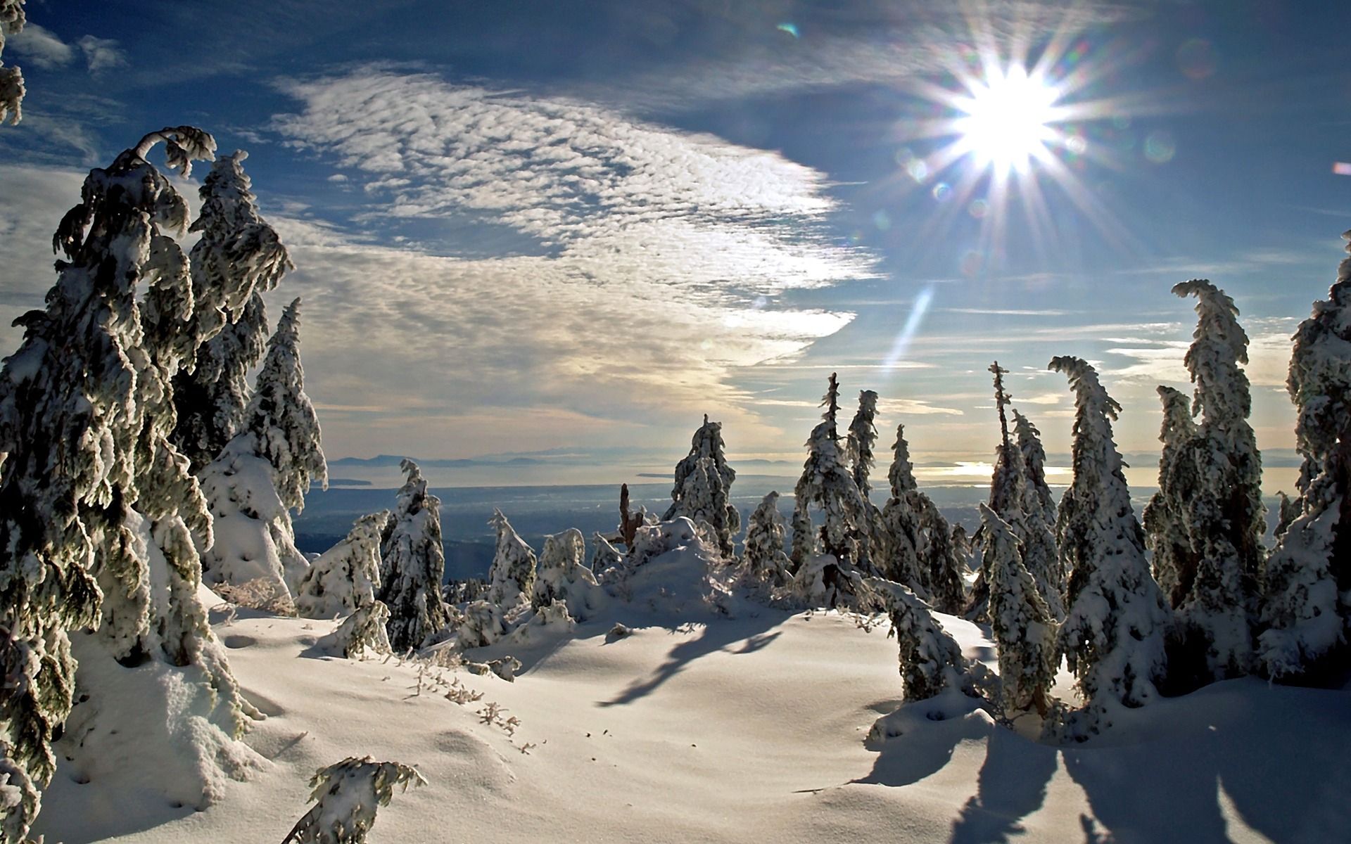 Winter Nature Wallpaper