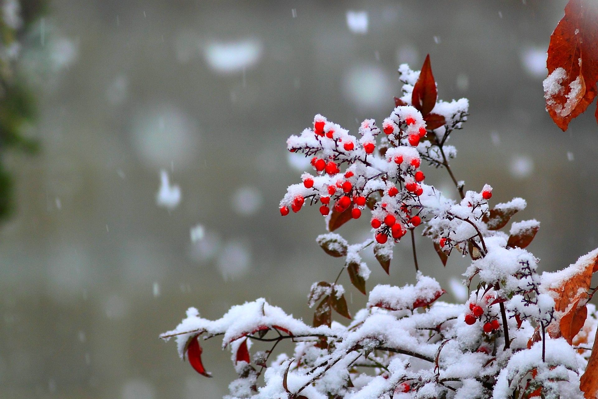 Winter Season Wallpaper